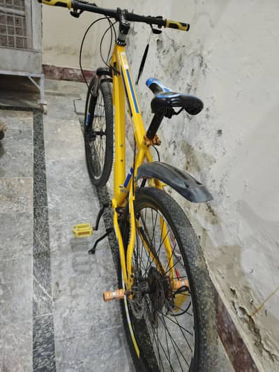 Benzor 26 size cycle