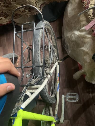 Japani Cycle