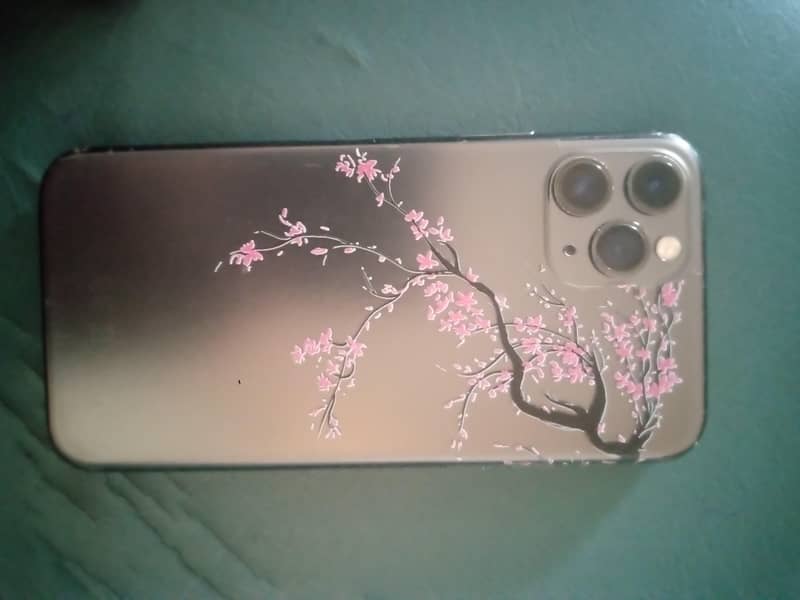 Apple iPhone 11 Pro 1
