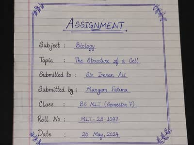 Assignment Work, PDF Files & Projects –  practical copies.