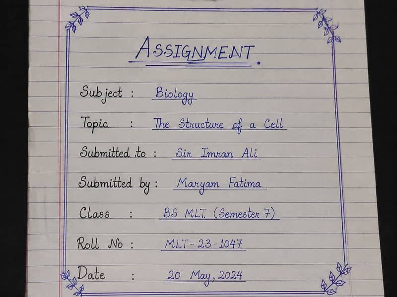 Assignment Work, PDF Files & Projects –  practical copies , handmade c 0