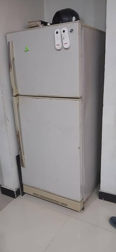 PEL medium size Refrigerator