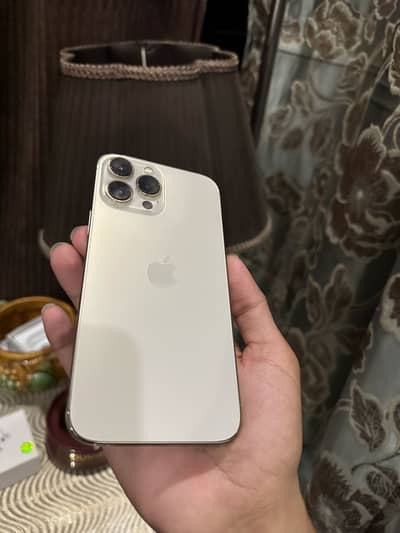 Apple iPhone 13 Pro Max