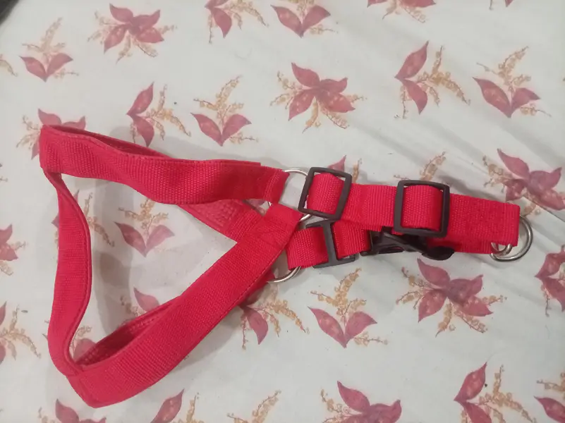 adjustable red nylon collar is designed for dogs — photo 3