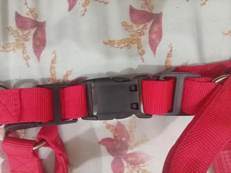 adjustable red nylon collar is designed for dogs — photo 4
