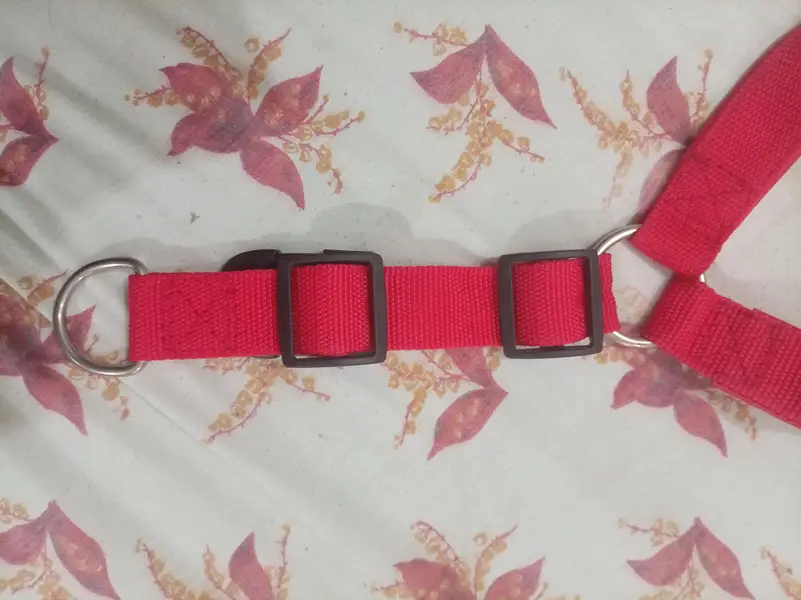 adjustable red nylon collar is designed for dogs — photo 5