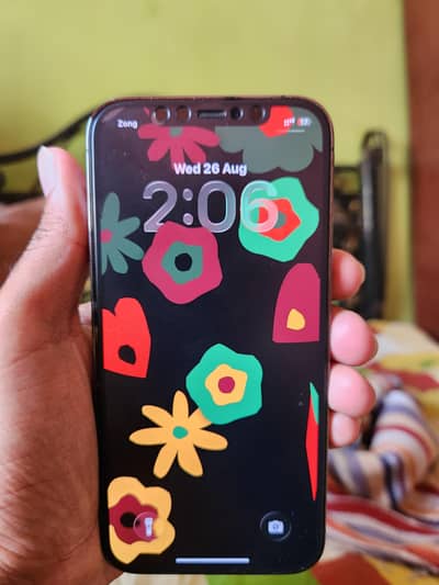 Apple iPhone 12 Pro