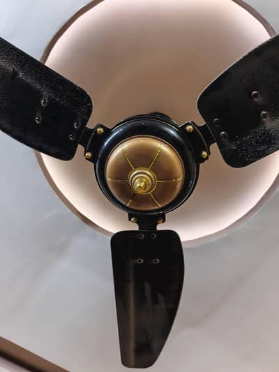 Royal ceeling fan in good condition 2 season used