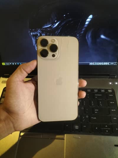 Apple iPhone 13 Pro Max