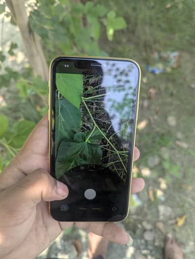 Apple iPhone 11