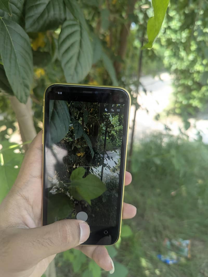 Apple iPhone 11 1
