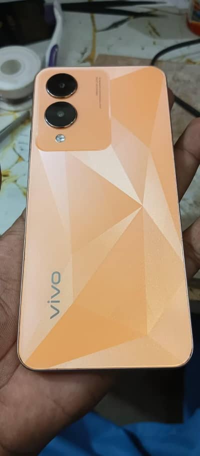 Vivo Y17s