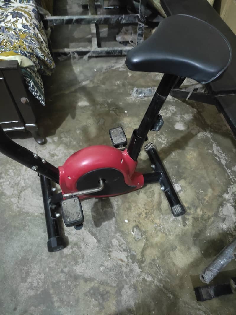 gym exercises 1