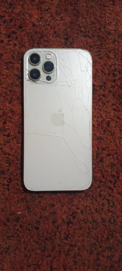 Apple iPhone 12 Pro Max
