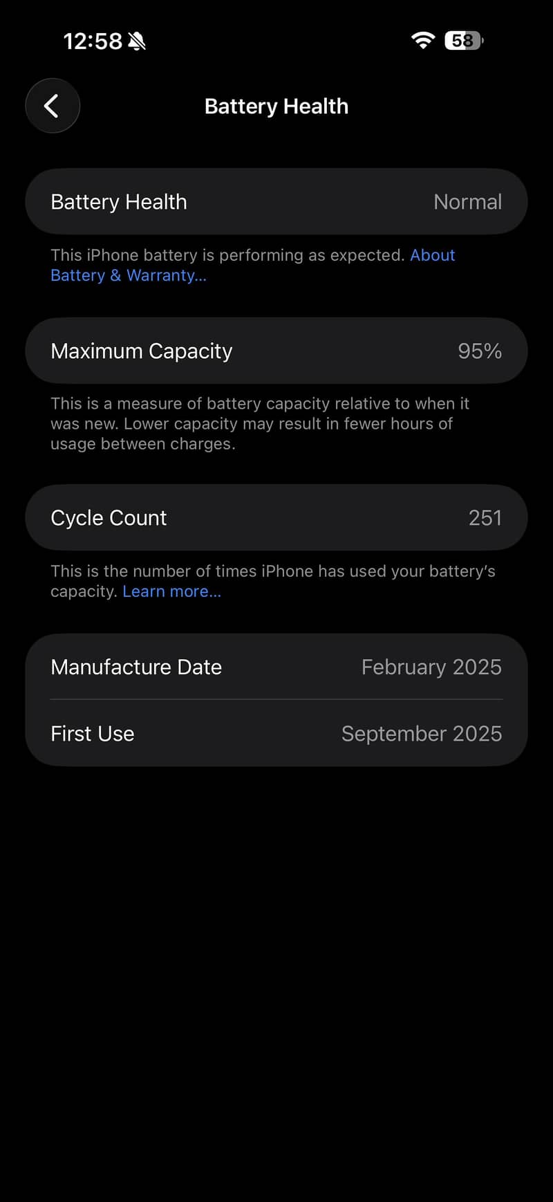 Apple iPhone 16 Pro Max 1