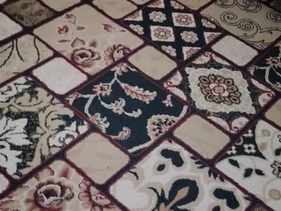 soft carpet   for 10/12 room in reasonable price