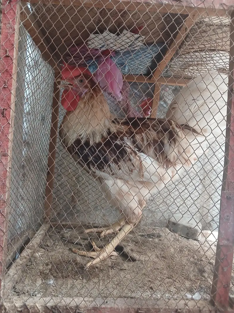 good health — photo 3