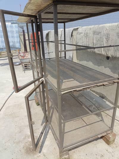 Birds Cage