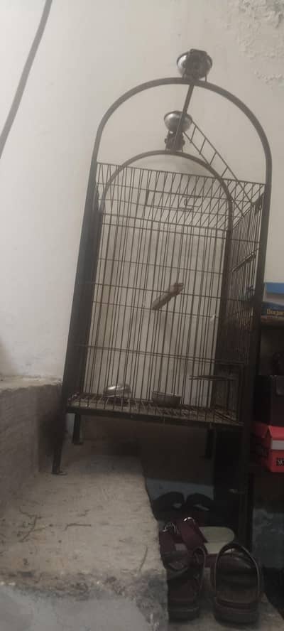 fancy cage for parrot