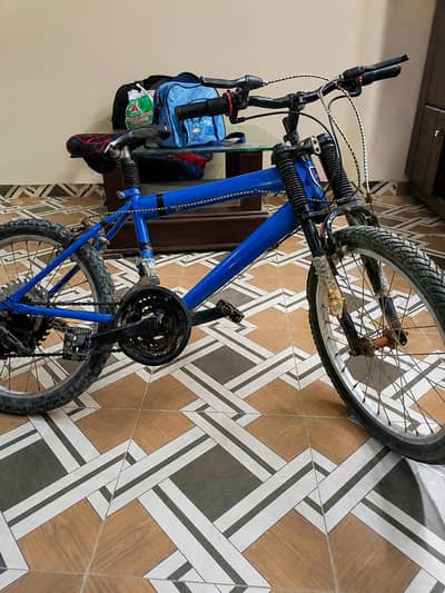 Mountain Bicycle 