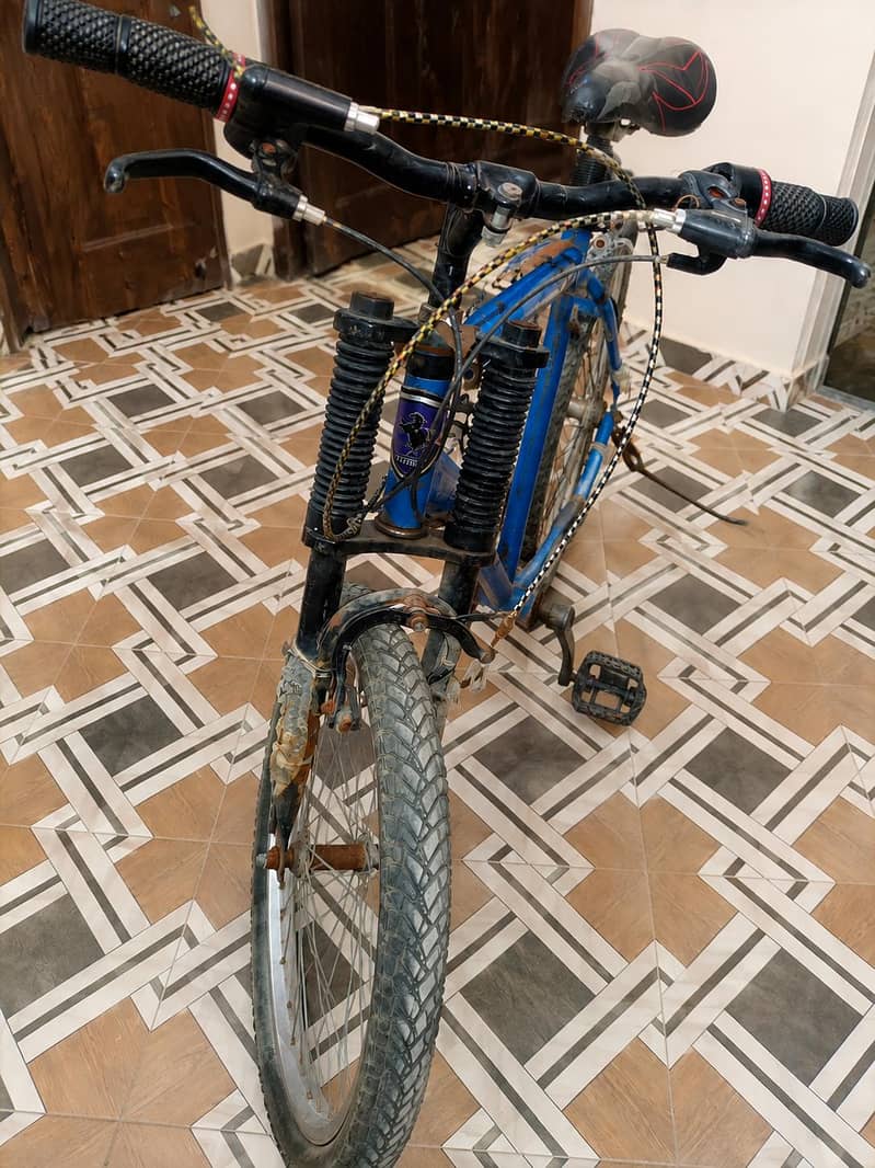 Mountain Bicycle  1