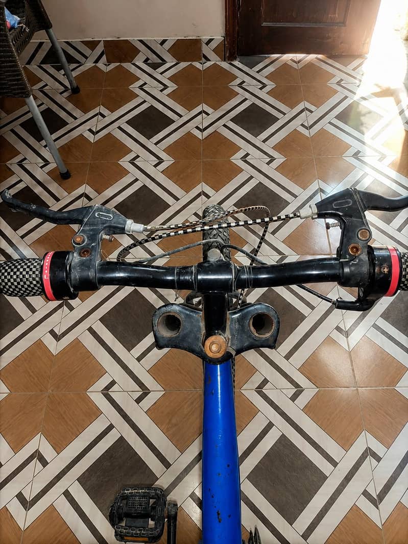 Mountain Bicycle  3