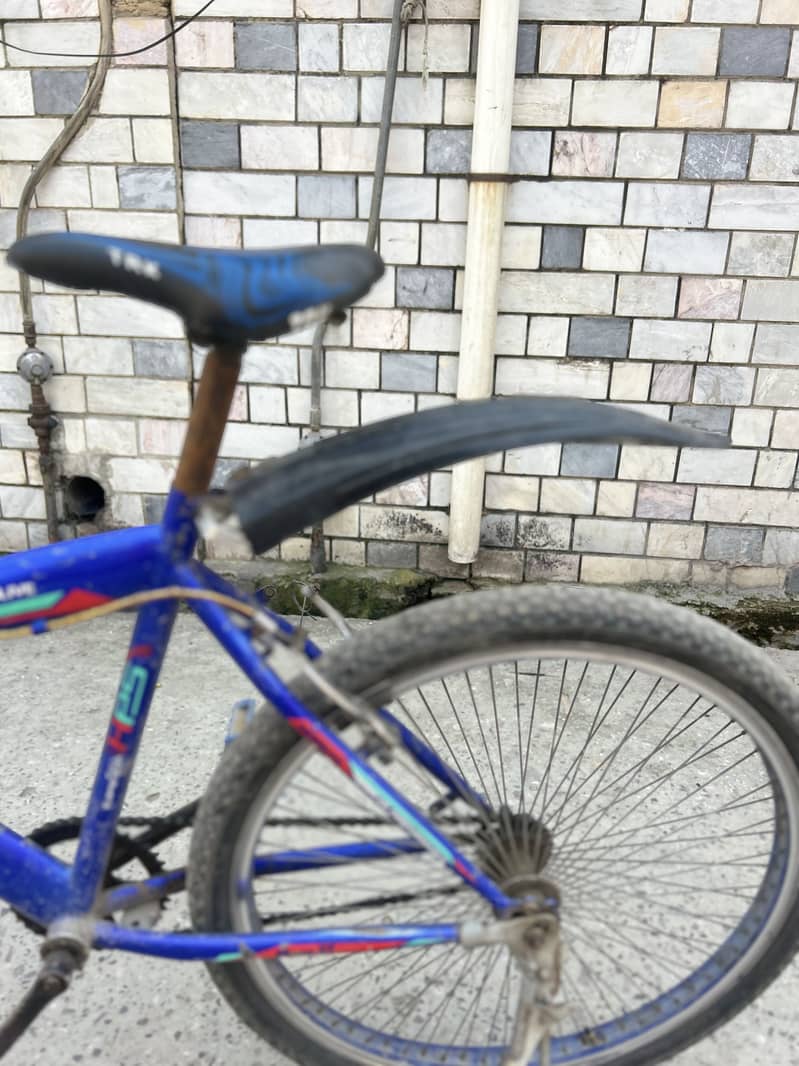 Cycle 4