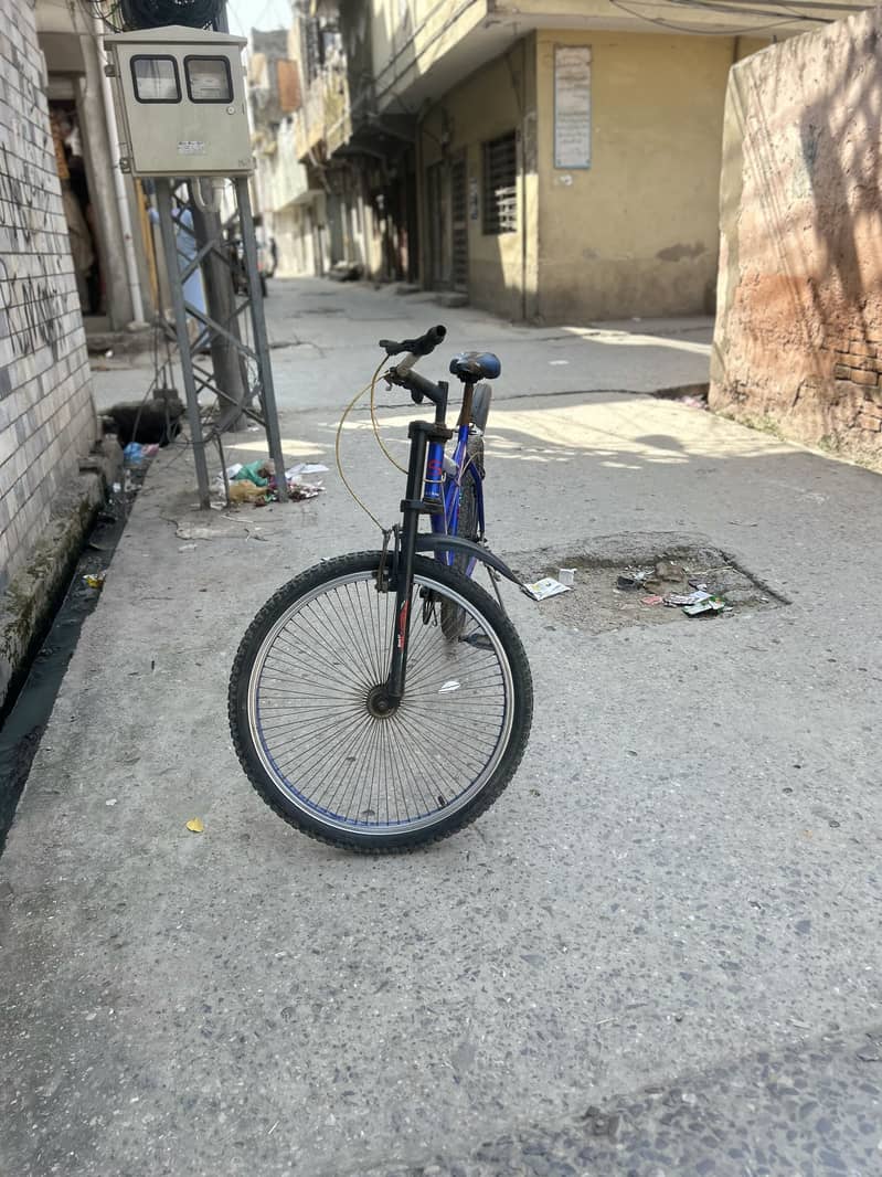Cycle 6