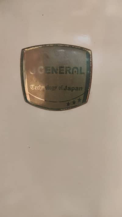 General Japanese Technology Double-Door Deep Freezer — Model 904T. W
