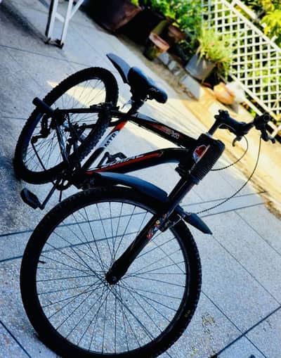 Mountain bike cycle