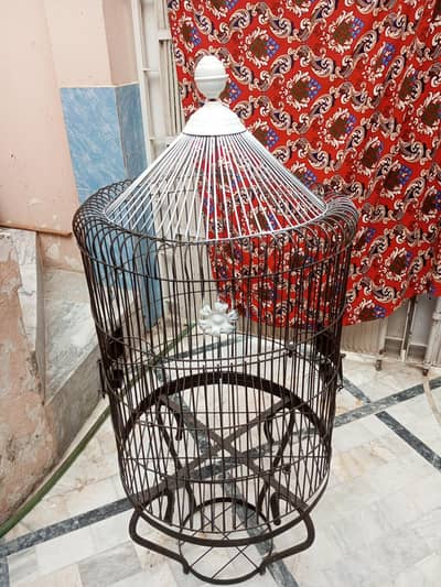 Parrot Cage Big Size For Sale