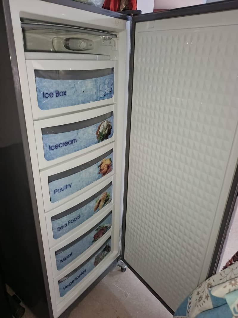 freezer 1