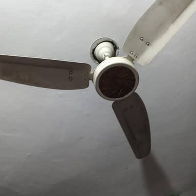 6 ceiling fans available