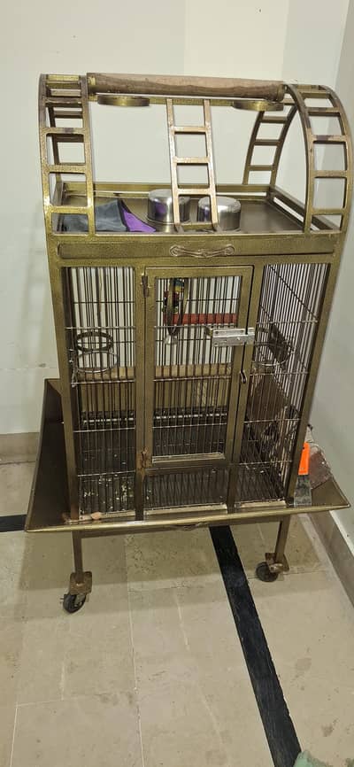 gray perrot nd raw perrot cage