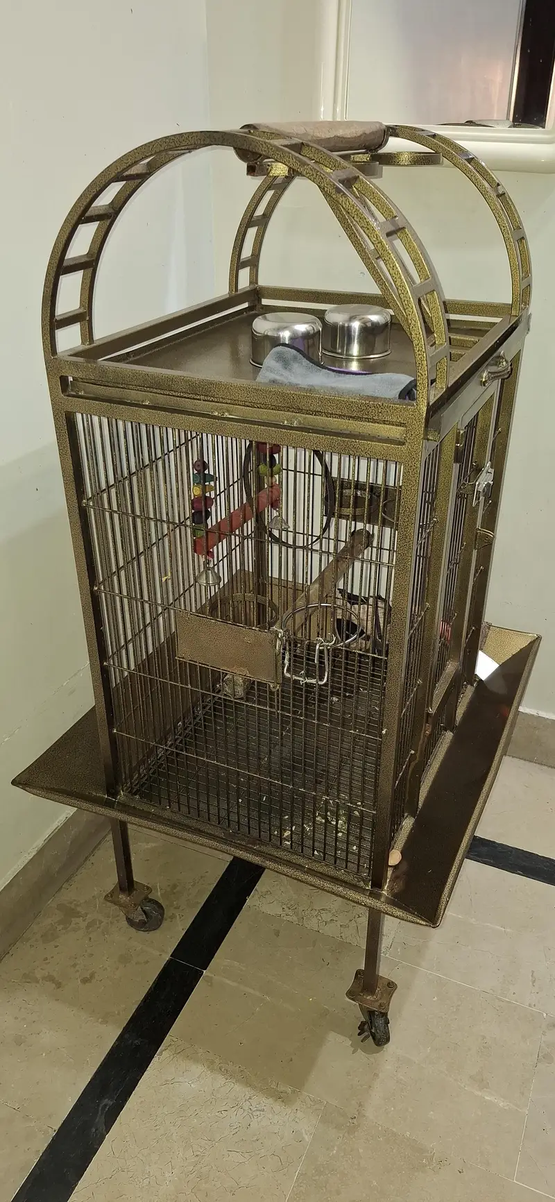 gray perrot nd raw perrot cage — photo 2