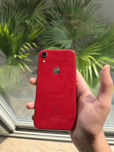 Apple iPhone XR
