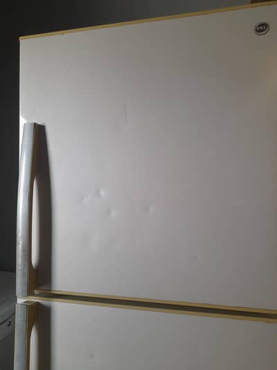 Pel 2 door freezer