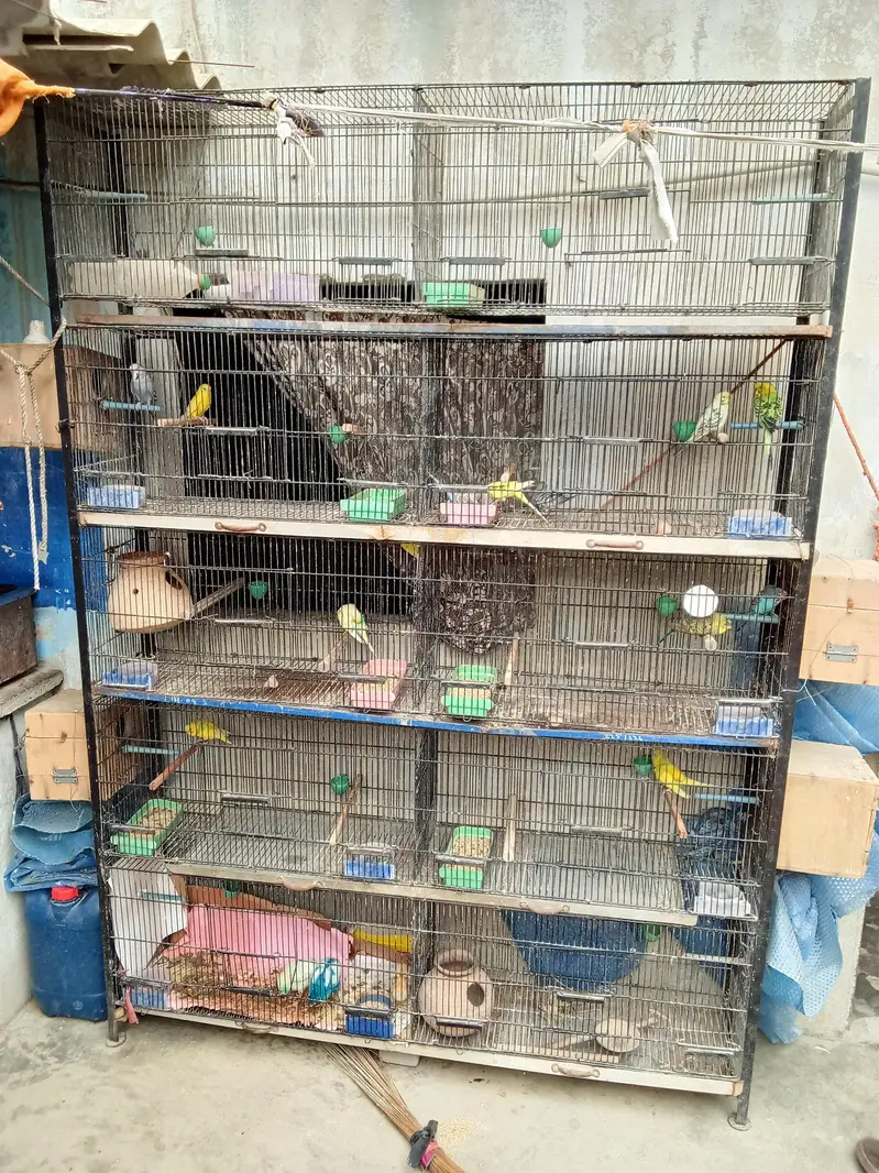 10 portion Jahangir Cage — photo 2
