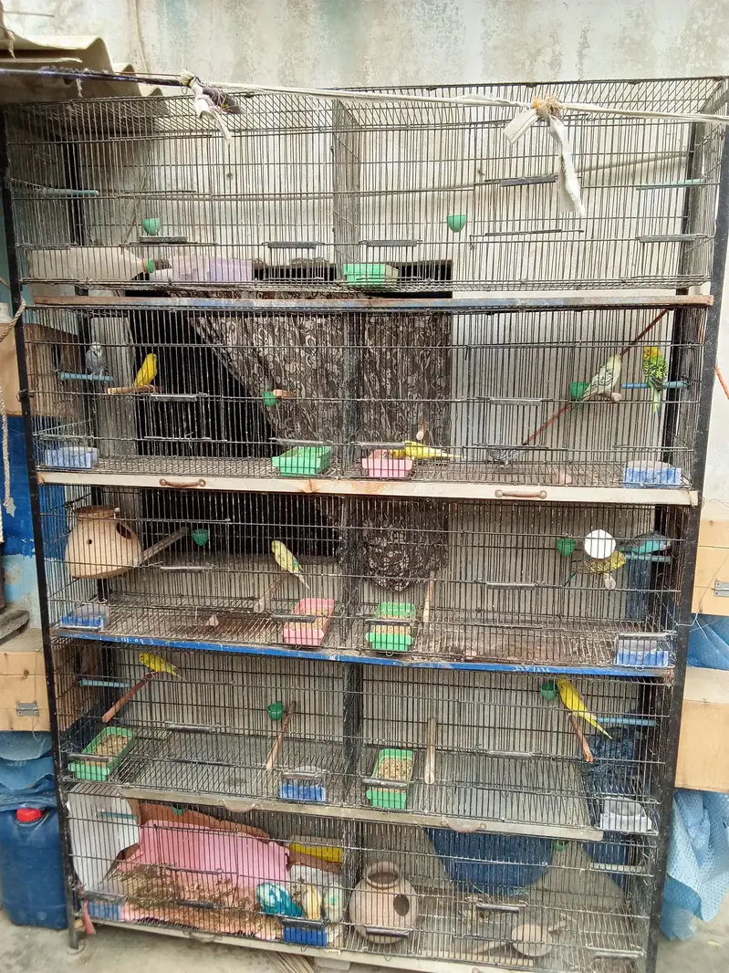 10 portion Jahangir Cage — photo 3