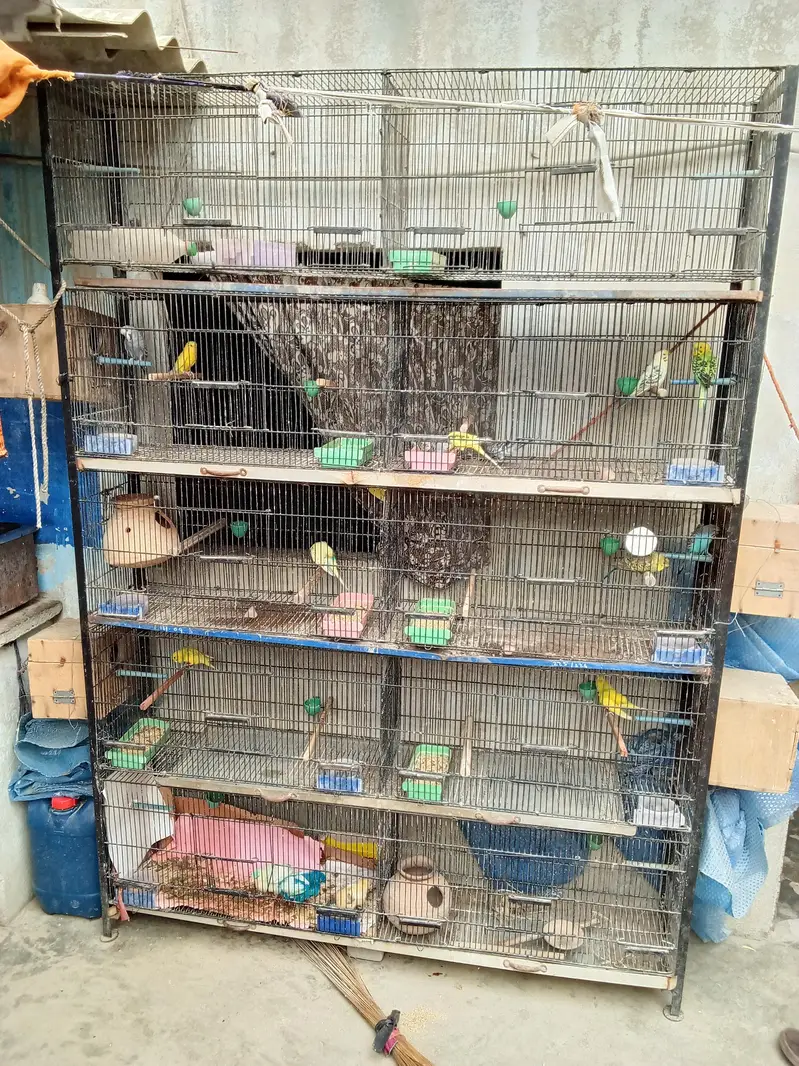 10 portion Jahangir Cage — photo 4