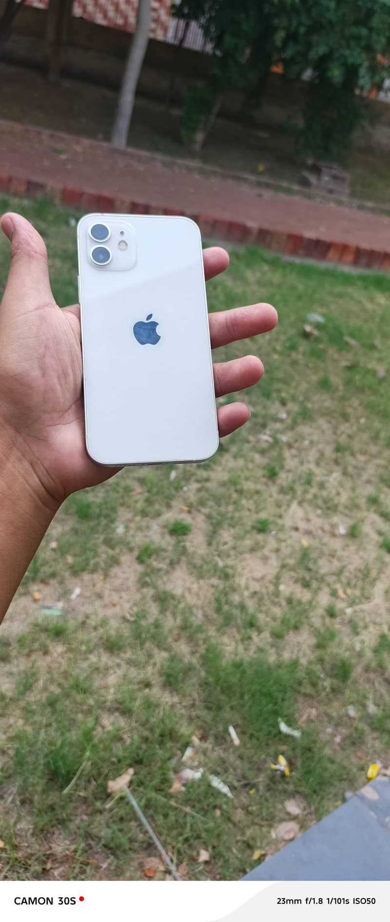 Apple iPhone 12 0