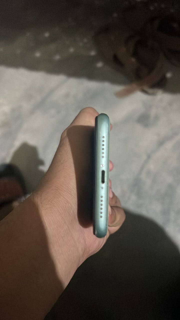 Apple iPhone 11 0