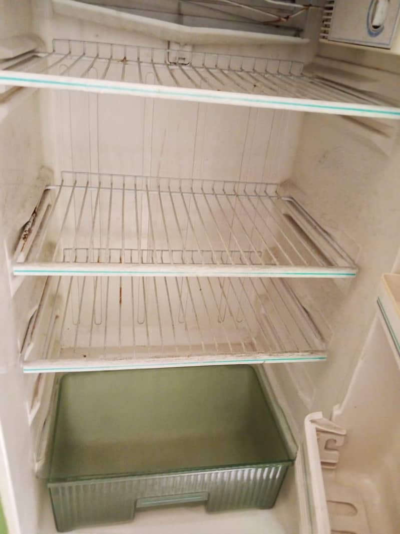 Singer Fridge 10/10 Condition 3