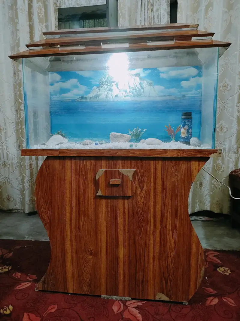 Big size beautiful Aquarium for sale — photo 2