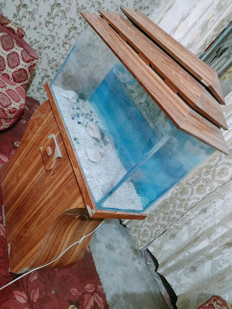 Big size beautiful Aquarium for sale — photo 3