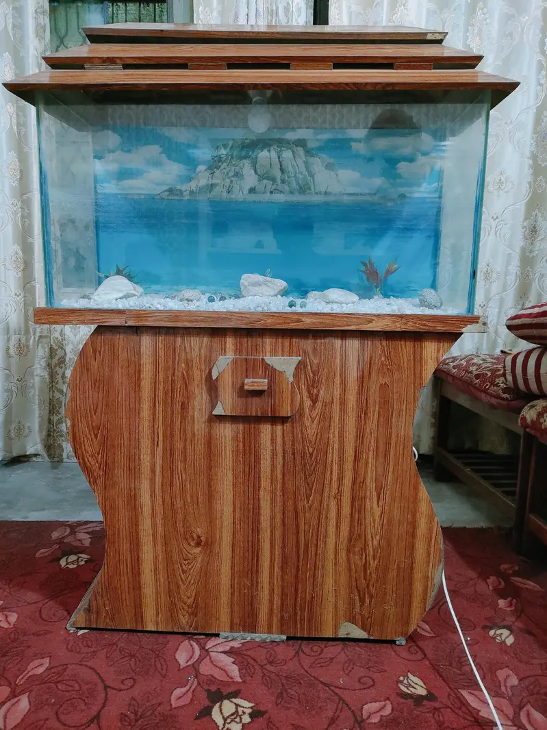Big size beautiful Aquarium for sale — photo 4