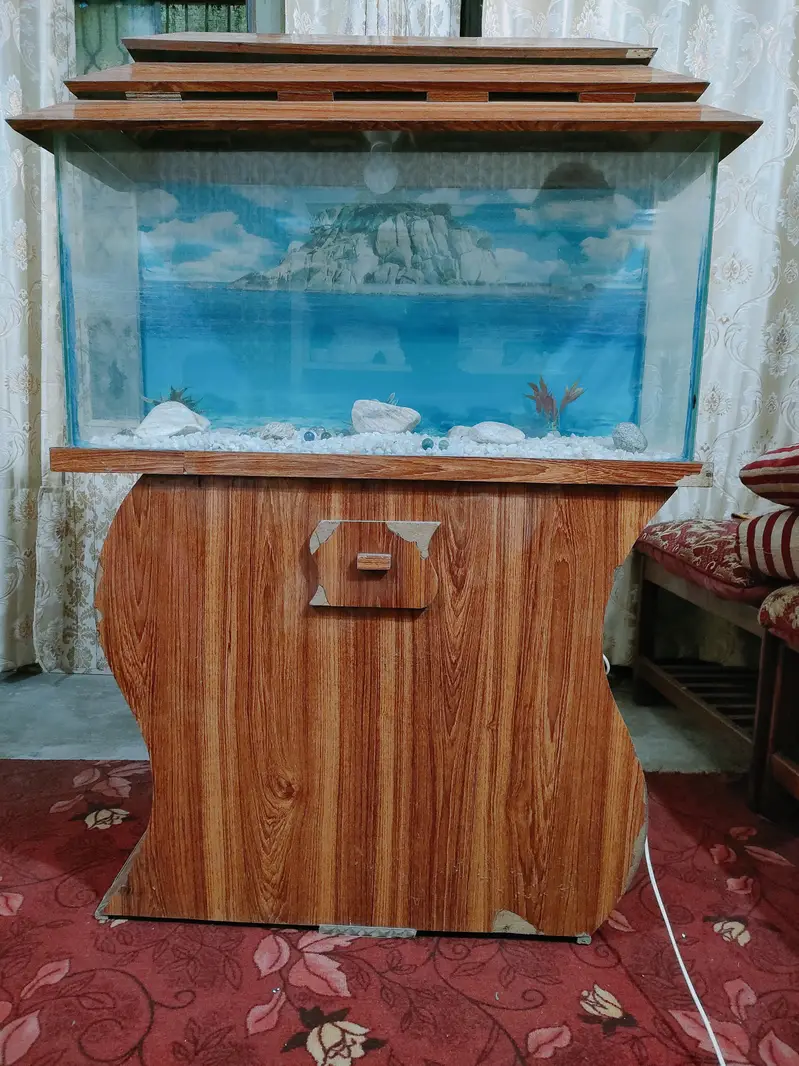 Big size beautiful Aquarium for sale — photo 5
