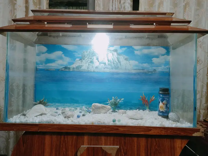 Big size beautiful Aquarium for sale — photo 7