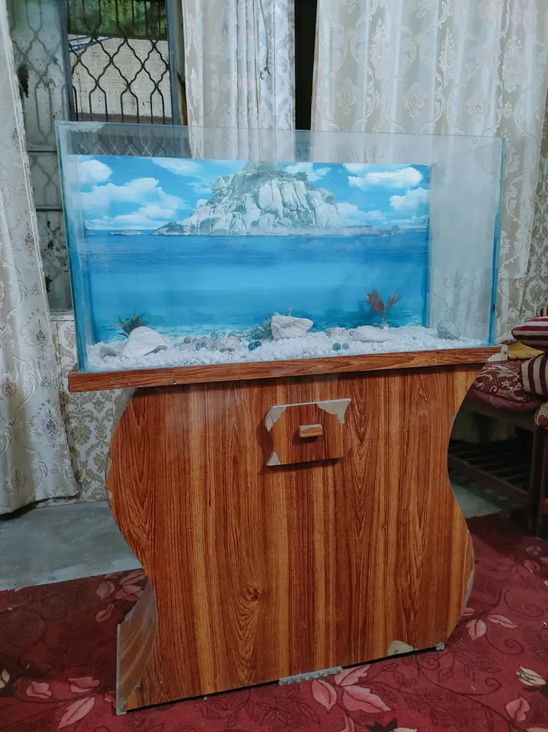 Big size beautiful Aquarium for sale — photo 8