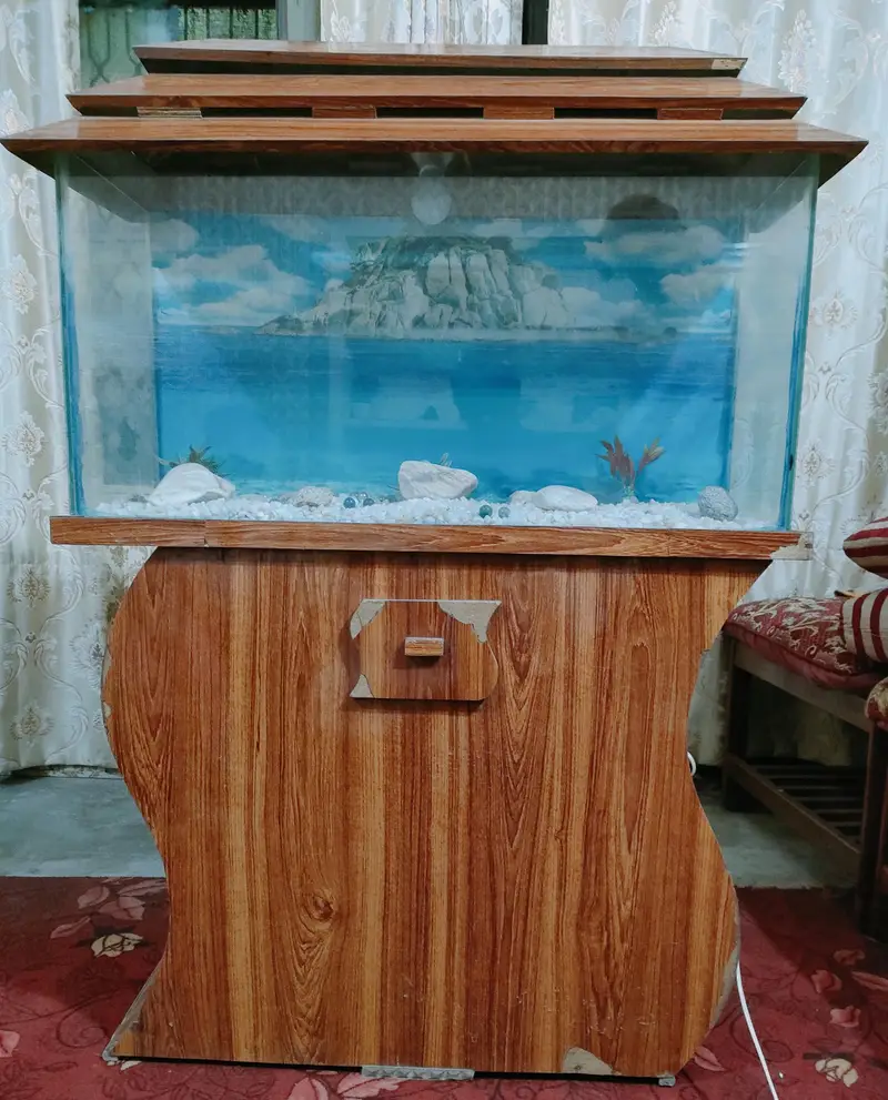 Big size beautiful Aquarium for sale — photo 9